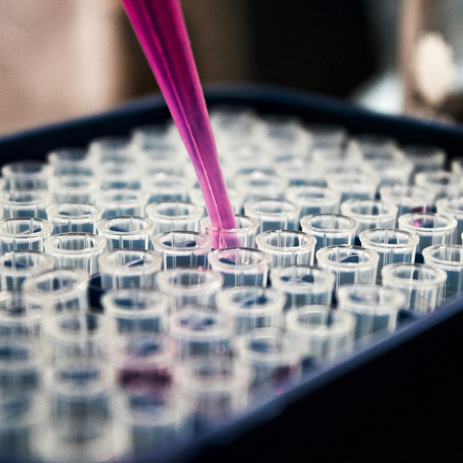 Chemicals & Raw Materials